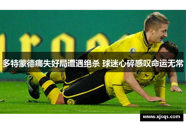 多特蒙德痛失好局遭遇绝杀 球迷心碎感叹命运无常
