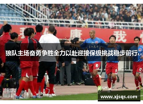 狼队主场奋勇争胜全力以赴迎接保级挑战稳步前行