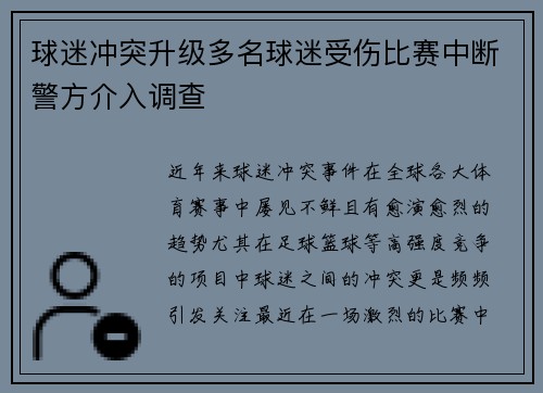 球迷冲突升级多名球迷受伤比赛中断警方介入调查